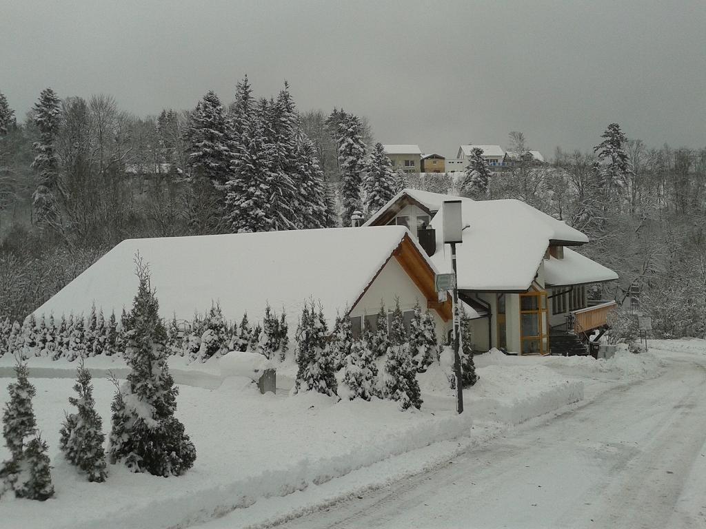 Dzt-Schwarzwaldhotel Garni Unterkirnach Екстер'єр фото